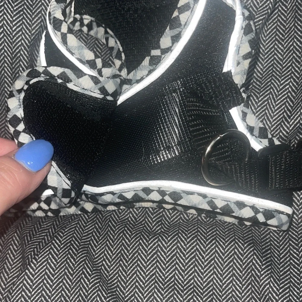 Chic Black and White Cat Harness and Leash Set